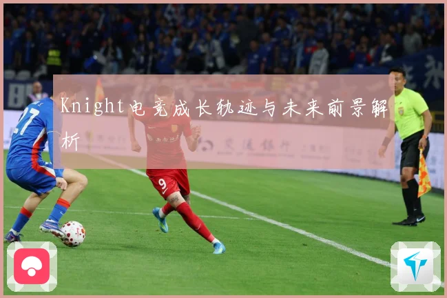Knight电竞成长轨迹与未来前景解析