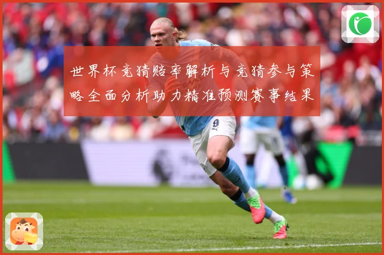 世界杯竞猜赔率解析与竞猜参与策略全面分析助力精准预测赛事结果数据研判