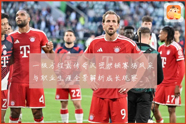 一级方程式传奇汉密尔顿赛场风采与职业生涯全景解析成长观察