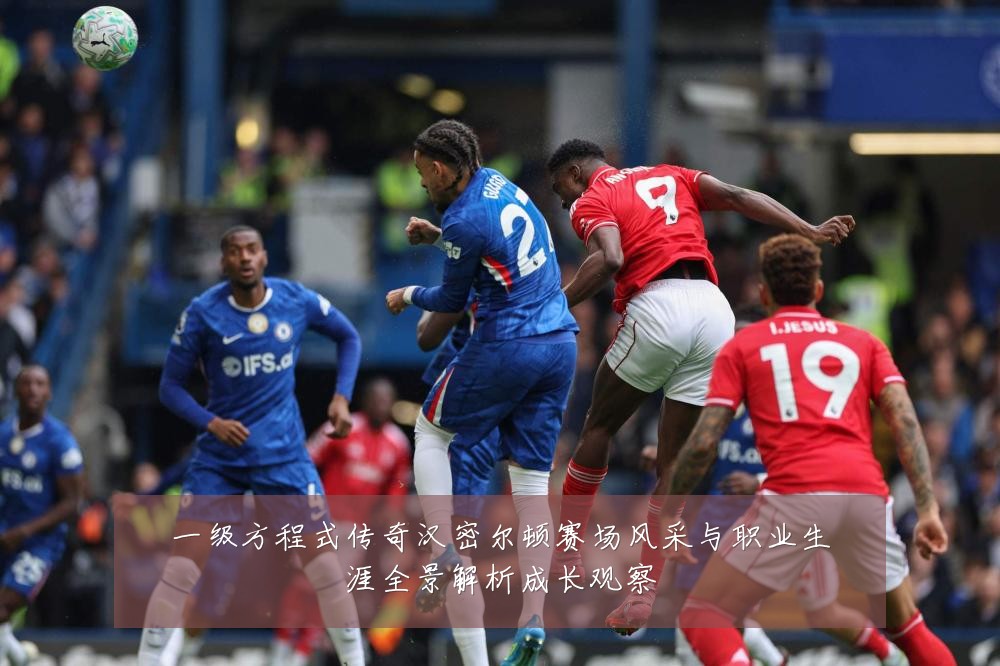 一级方程式传奇汉密尔顿赛场风采与职业生涯全景解析成长观察